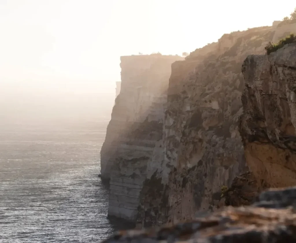 Foraging in Gozo: Wild Flavours, Local Traditions and Essential Safety
