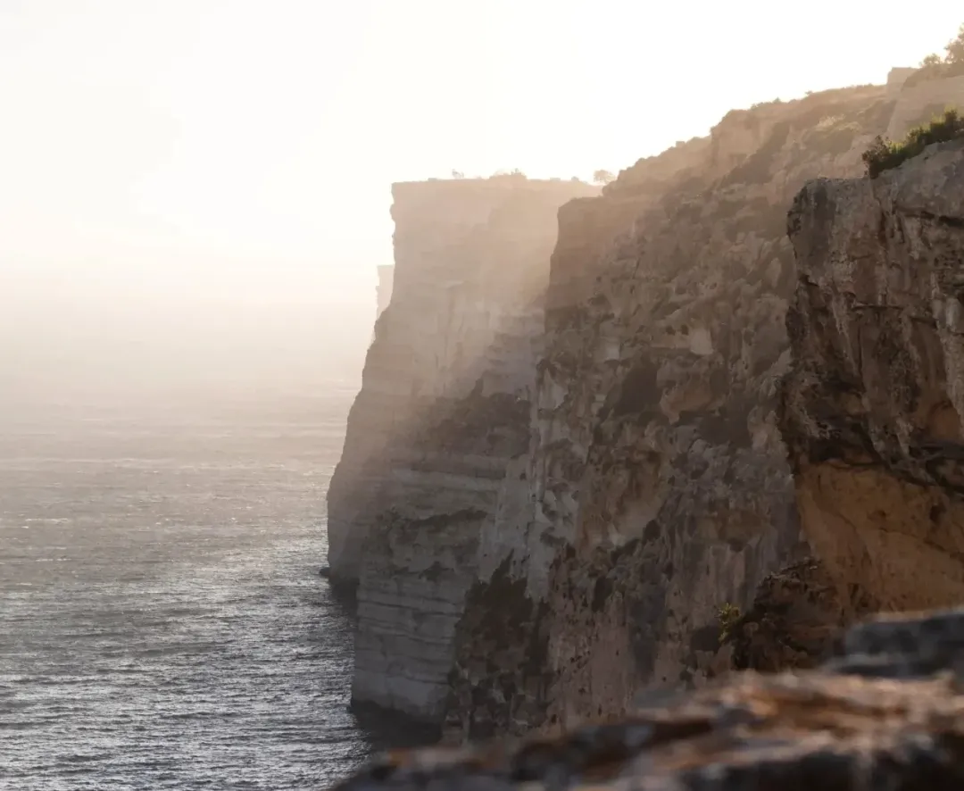 Foraging in Gozo: Wild Flavours, Local Traditions and Essential Safety
